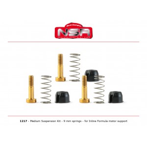 Suspension media soporte motor INLINE Formula 86/89 e Hypercar