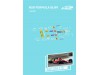 Calca Formula 1 NSR 1/32 Ferrari J. Alesi