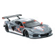 Corvette C8.R GTLM Sebring 12h 2021 n 4