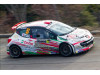 Peugeot 207 Montecarlo 16 - Delecour