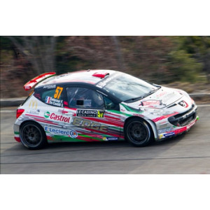 Peugeot 207 Montecarlo 16 - Delecour