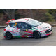 Peugeot 207 Montecarlo 16 - Delecour