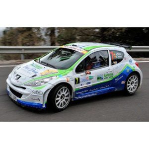 Peugeot 207 Canarias 12 - P&eacute;rez