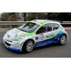 Peugeot 207 Canarias 12 - Pérez