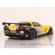 Corvette C6R GT2 Sebring 2010 nº 3
