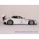 BMW Z4 GT3 Presentation Car