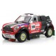 Mini All 4 Racing 309 Dakar 2012 chasis Dakar