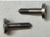 Guide steel screws (x2)
