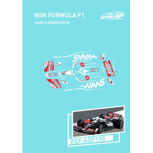 Calca 1/32 NSR Formula 1 Magnussen