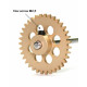 Corona Z35 Sidewinder Oro 17,5 mm. 