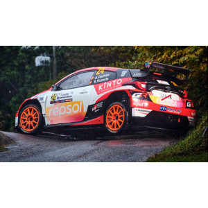 Toyota Yaris Rally Japan 25 - Cach&oacute;n