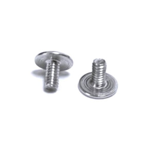 Tornillo M2x4 (2 unidades) para guias