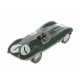 Jaguar D-Type Dundrod 1955 Mike Hawthorn